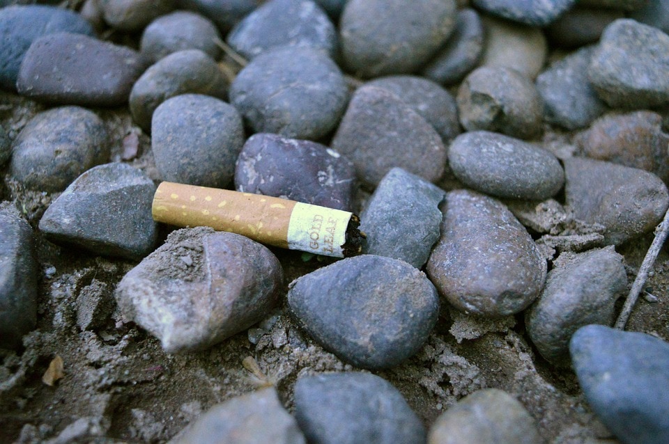 Debatt: ”Tobak och fimpar sprider också miljögifter”