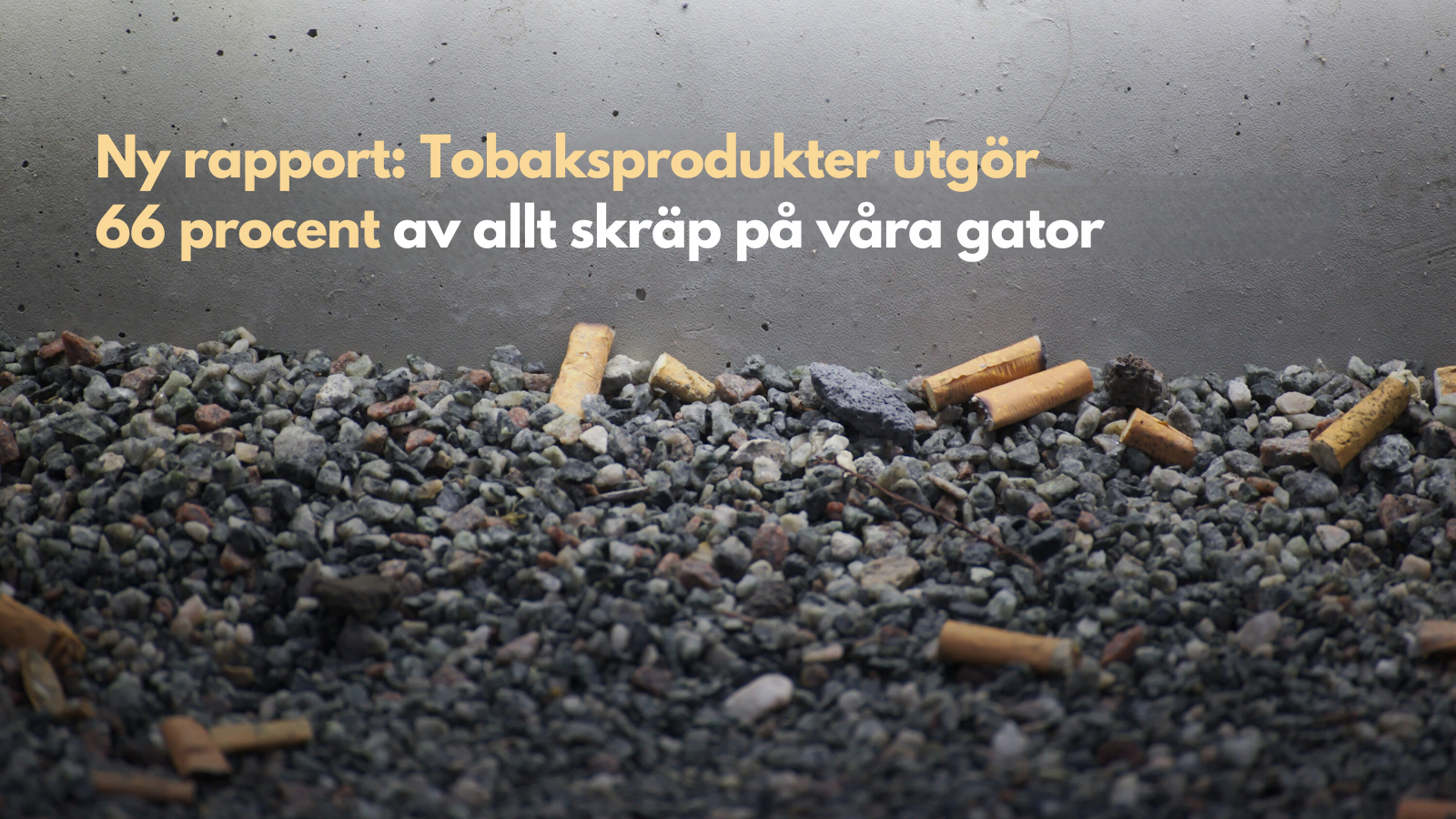 Ny rapport: Tobaksprodukter utgör 66 procent av allt skräp på våra gator