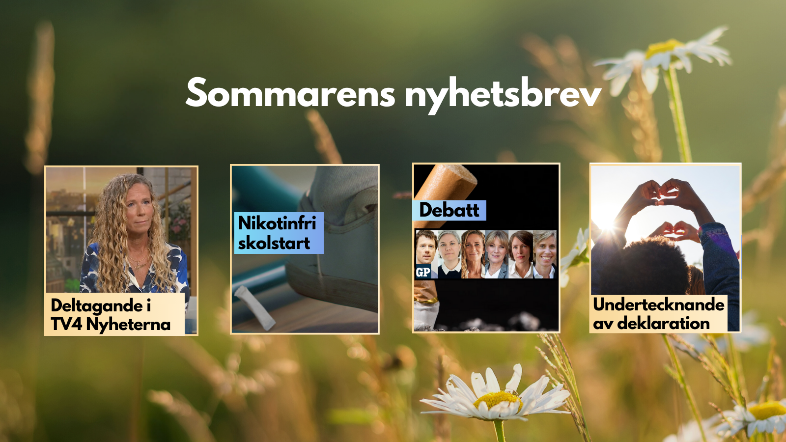 Sommarens nyhetsbrev