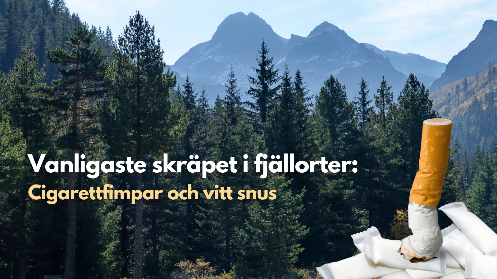 Vitt snus och cigarettfimpar är det vanligaste skräpet i fjällorter