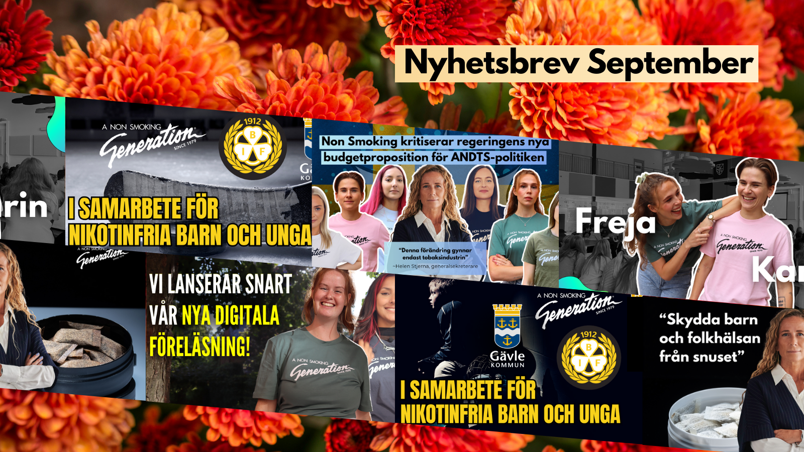 Nyhetsbrev september!