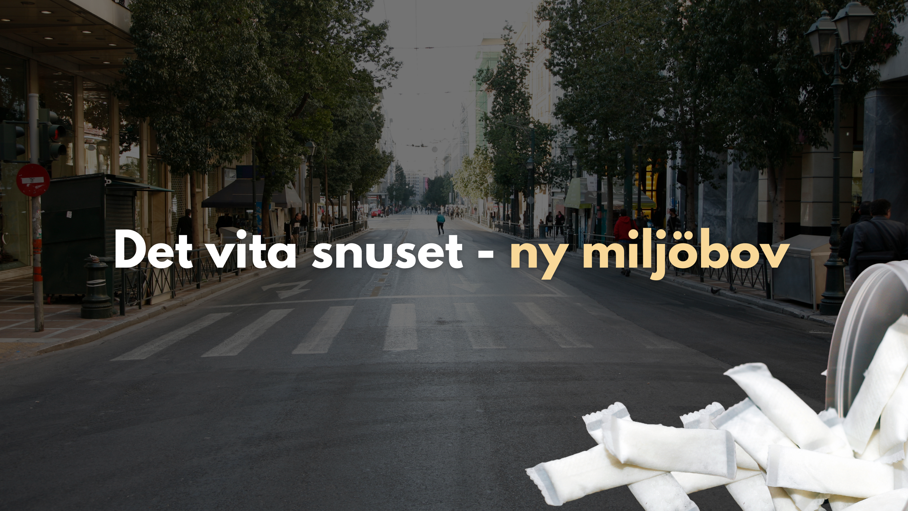 Det vita snuset – ny miljöbov