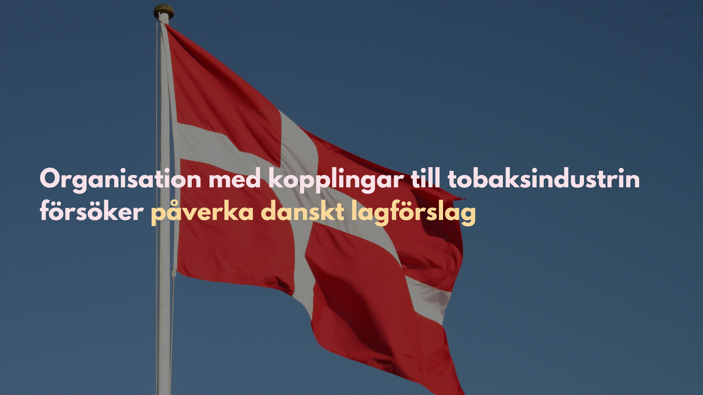 Organisation med kopplingar till tobaksindustrin försöker påverka danskt lagförslag