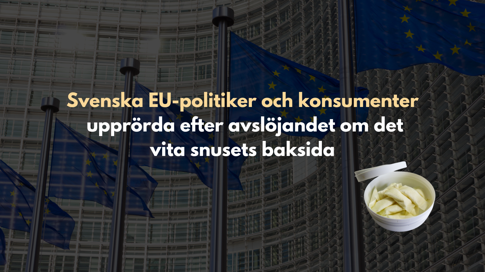 Svenska EU-politiker och konsumenter upprörda efter avslöjandet om det vita snusets baksida