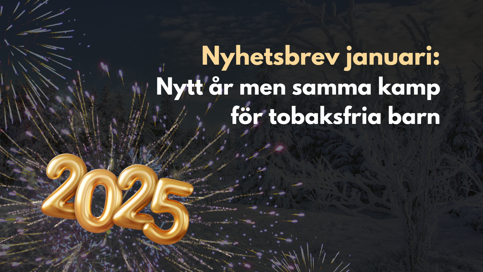 Nyhetsbrev januari: Nytt år men samma kamp för tobaksfria barn