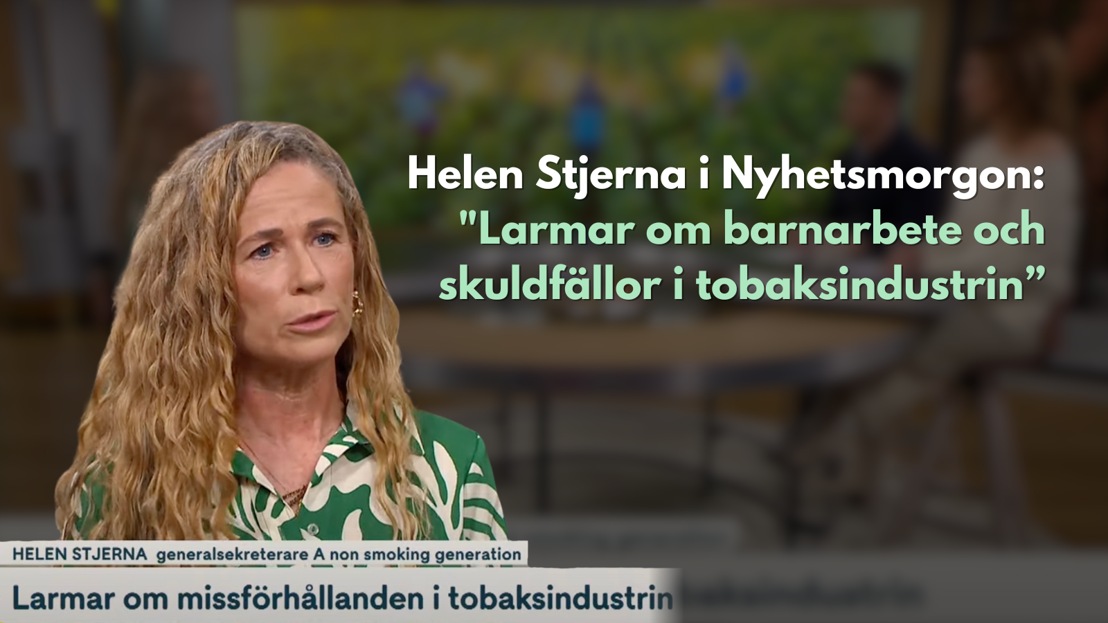 Helen Stjerna i Nyhetsmorgon: ”Larmar om barnarbete och skuldfällor i tobaksindustrin”