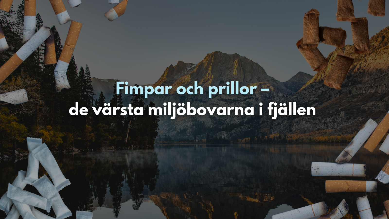 Fimpar och prillor – de värsta miljöbovarna i fjällen