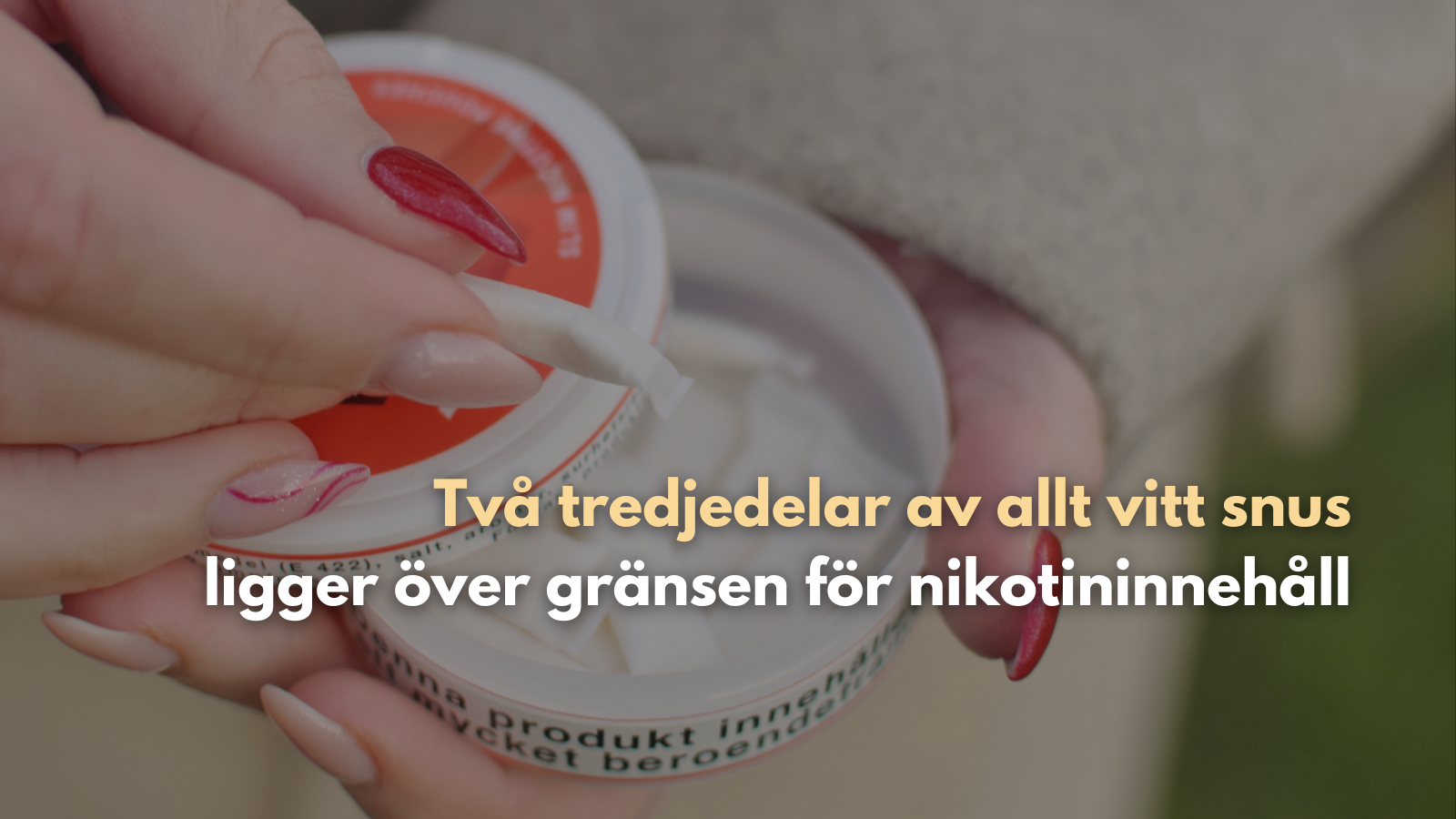 Två tredjedelar av allt vitt snus ligger över gränsen för nikotininnehåll