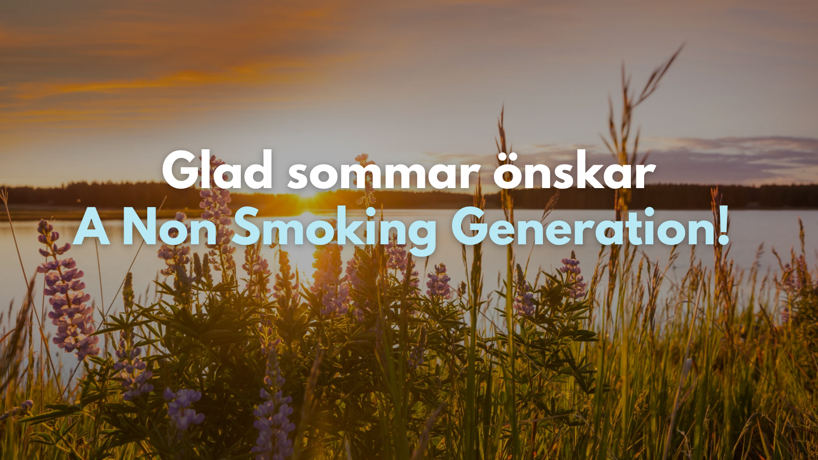 Glad sommar önskar A Non Smoking Generation