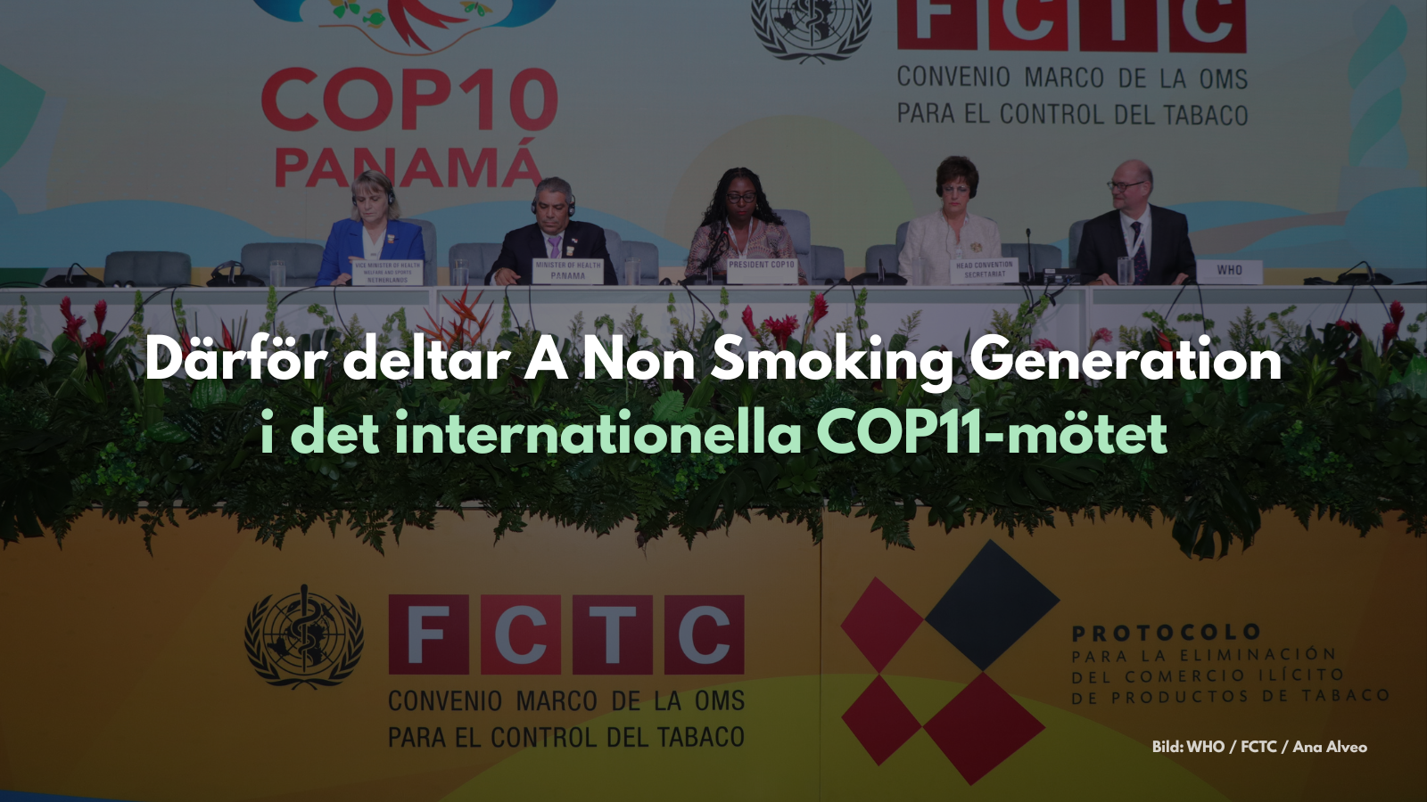 Därför deltar A Non Smoking Generation i det internationella COP11-mötet