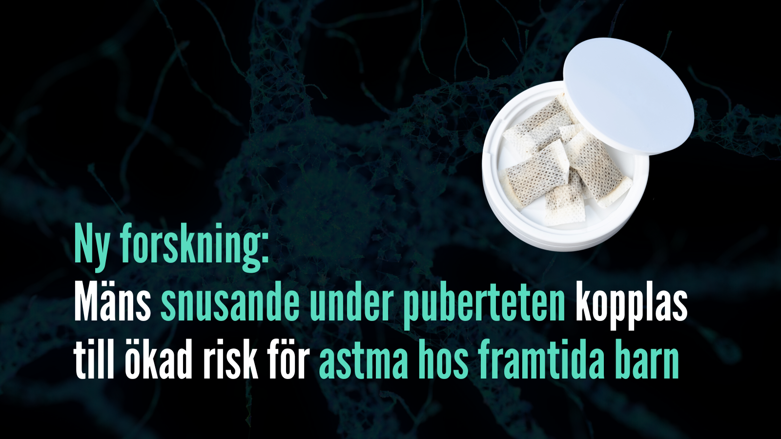Ny forskning: Mäns snusande under puberteten kopplas till ökad risk för astma hos framtida barn