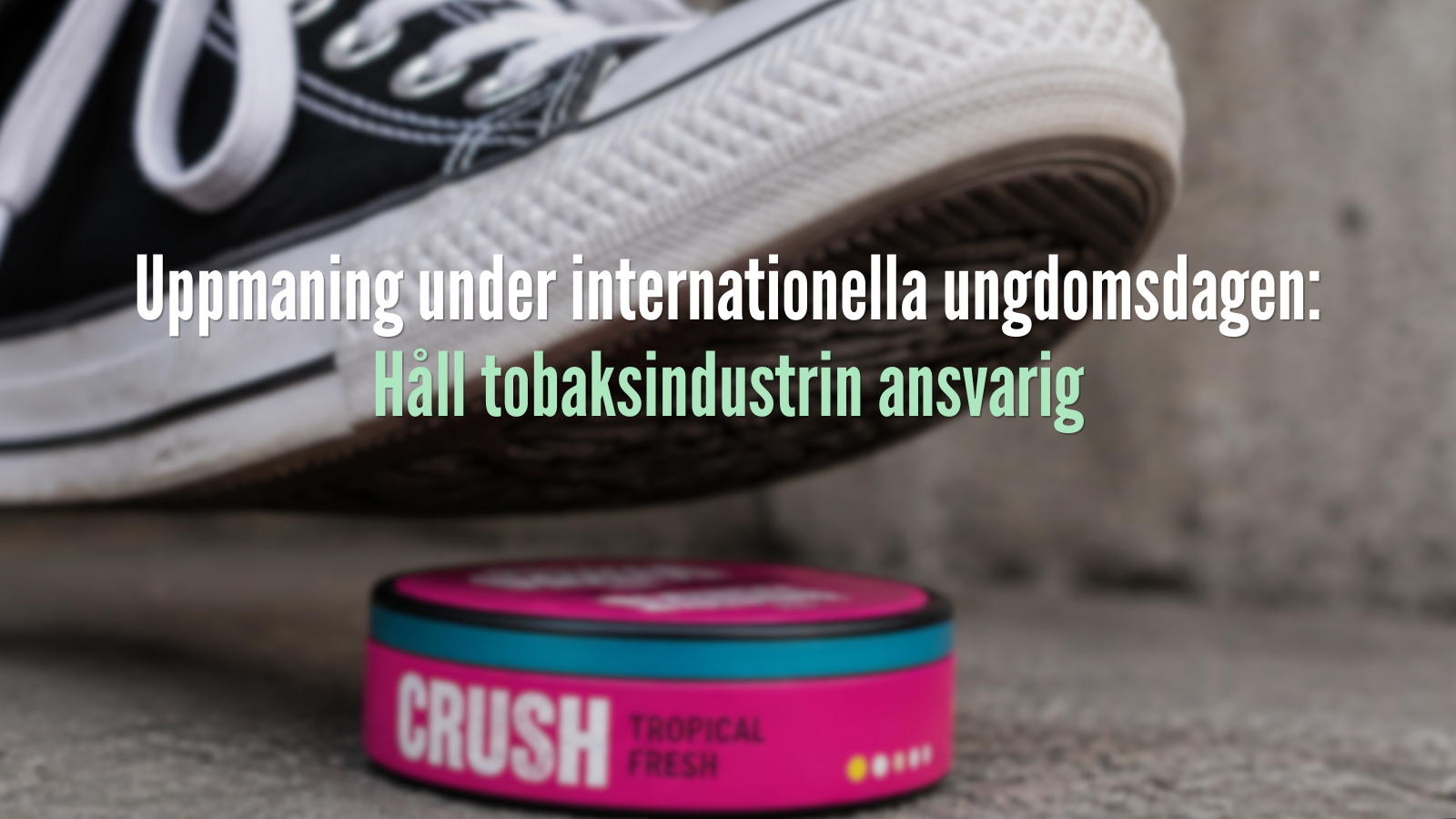 Uppmaning under internationella ungdomsdagen: Håll tobaksindustrin ansvarig